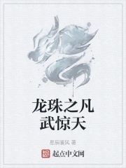 龙珠之武道传承系统 小说